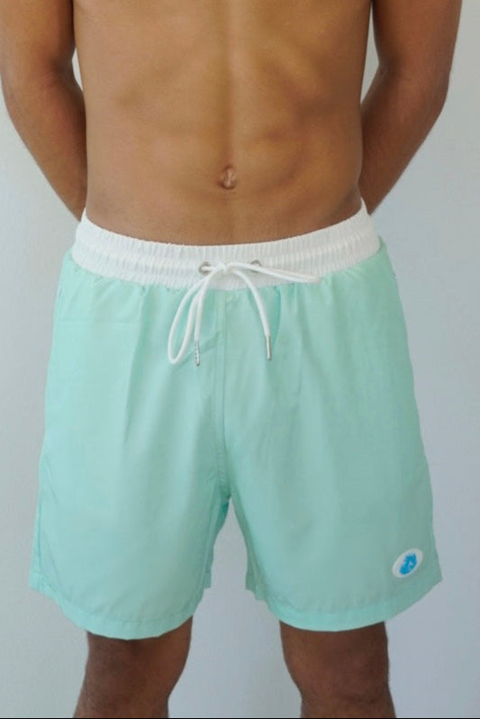 Pure Mint Men's Shorts – Ocean Wear Apparel